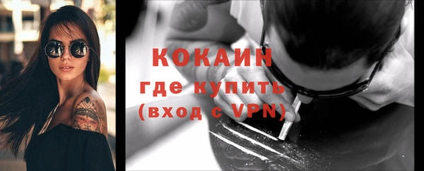 твердый Каменка
