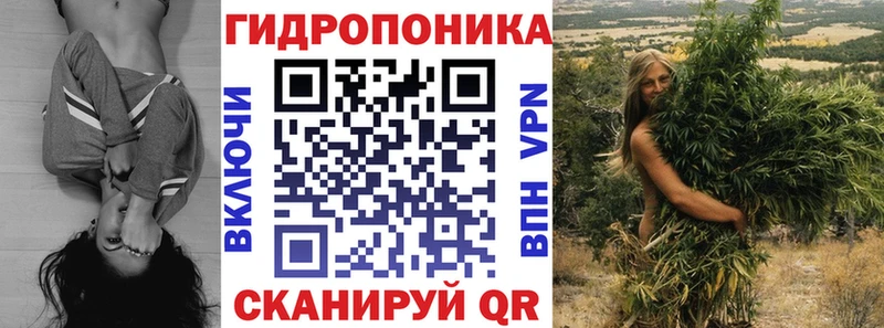 Шишки марихуана гибрид  Купить закладки  Железноводск 